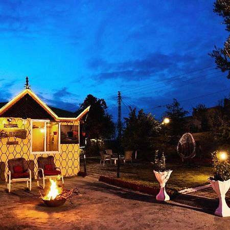 Republika Central Mansehra Dış mekan fotoğraf