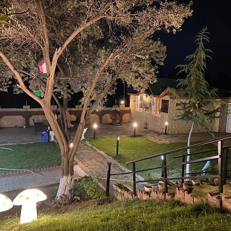 Republika Central Mansehra Dış mekan fotoğraf