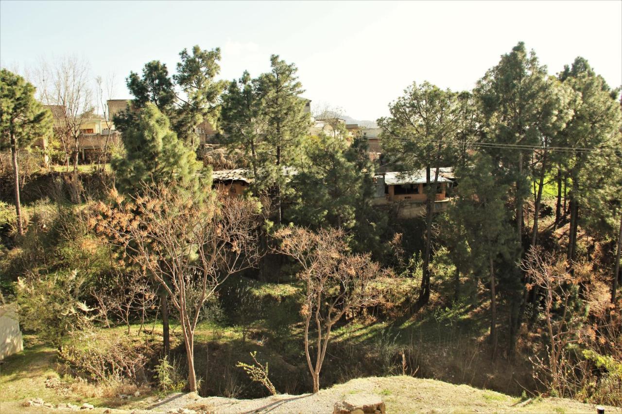 Republika Central Mansehra Dış mekan fotoğraf